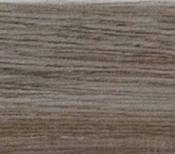 TAUPE 2
