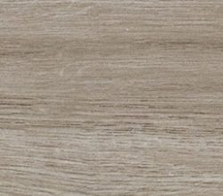 TAUPE 5