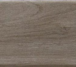 TAUPE 1
